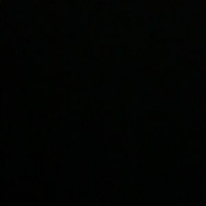 Meet your Posher, Donald